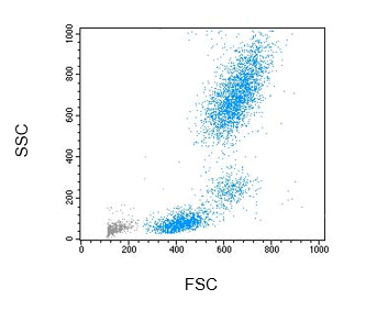 Figure 1 Flow cytometry scatter rofile of peripheral blood leukocytes after lysis of whole blood with NM-LYSE (no-wash method)